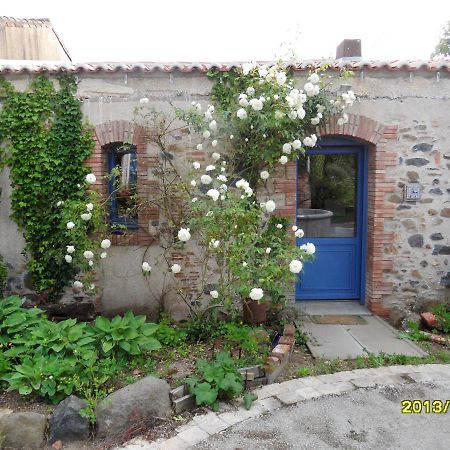 Maison De Charme A Mouzillon - Jardin Et Terrasse Accueillante Eksteriør bilde