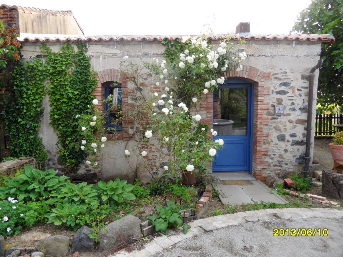 Maison De Charme A Mouzillon - Jardin Et Terrasse Accueillante Eksteriør bilde
