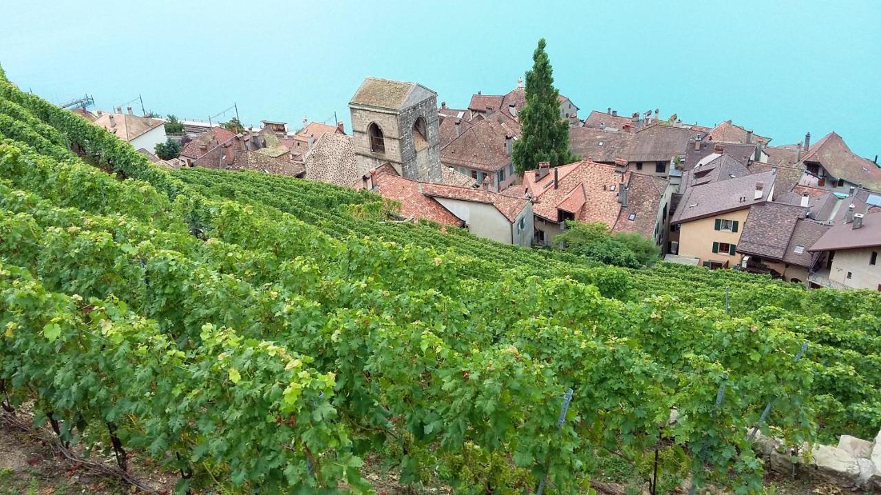 Maison De Charme A Mouzillon - Jardin Et Terrasse Accueillante Eksteriør bilde